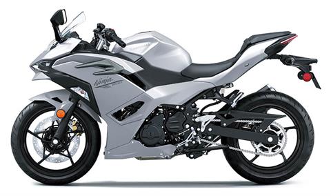 2025 Kawasaki Ninja 500 ABS in Marietta, Ohio - Photo 2