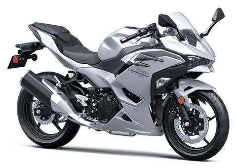 2025 Kawasaki Ninja 500 ABS in Marietta, Ohio - Photo 3