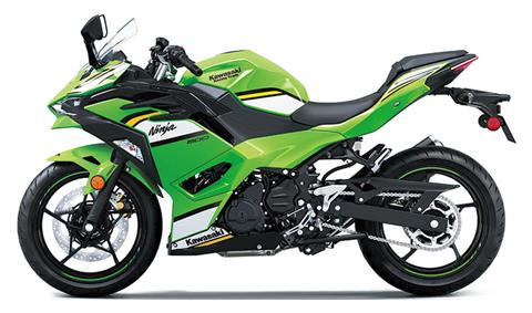 2025 Kawasaki Ninja 500 KRT Edition in Santa Maria, California - Photo 2