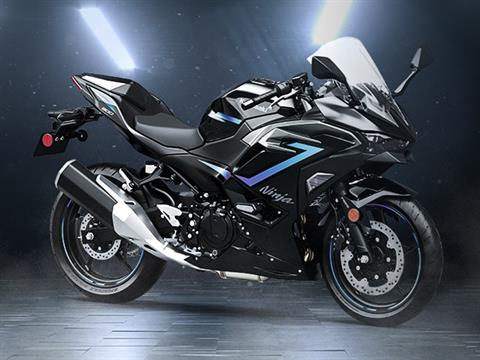 2025 Kawasaki Ninja 500 SE ABS in Columbia, South Carolina - Photo 4