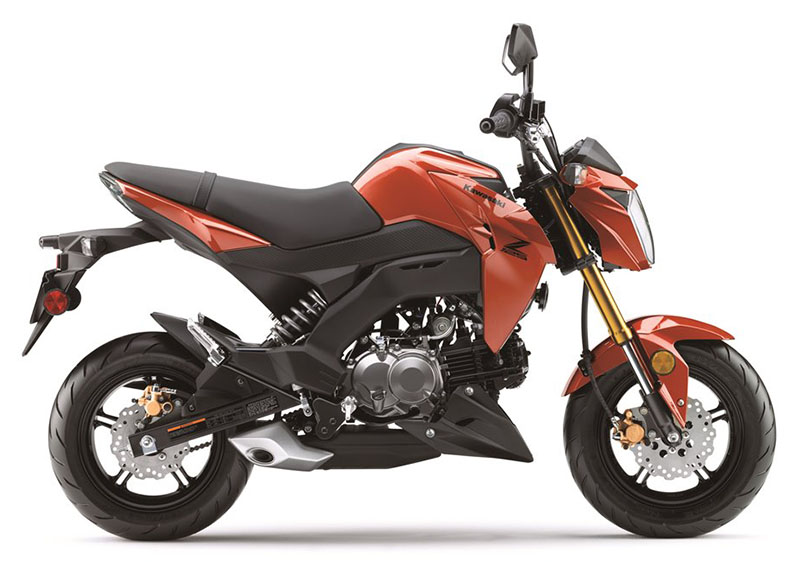 2025 Kawasaki Z125 Pro in Enfield, Connecticut