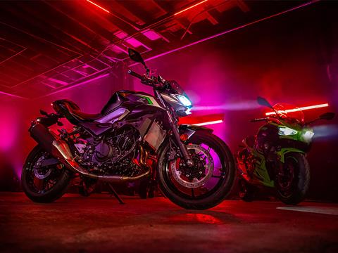 2025 Kawasaki Z500 ABS in Eugene, Oregon - Photo 11