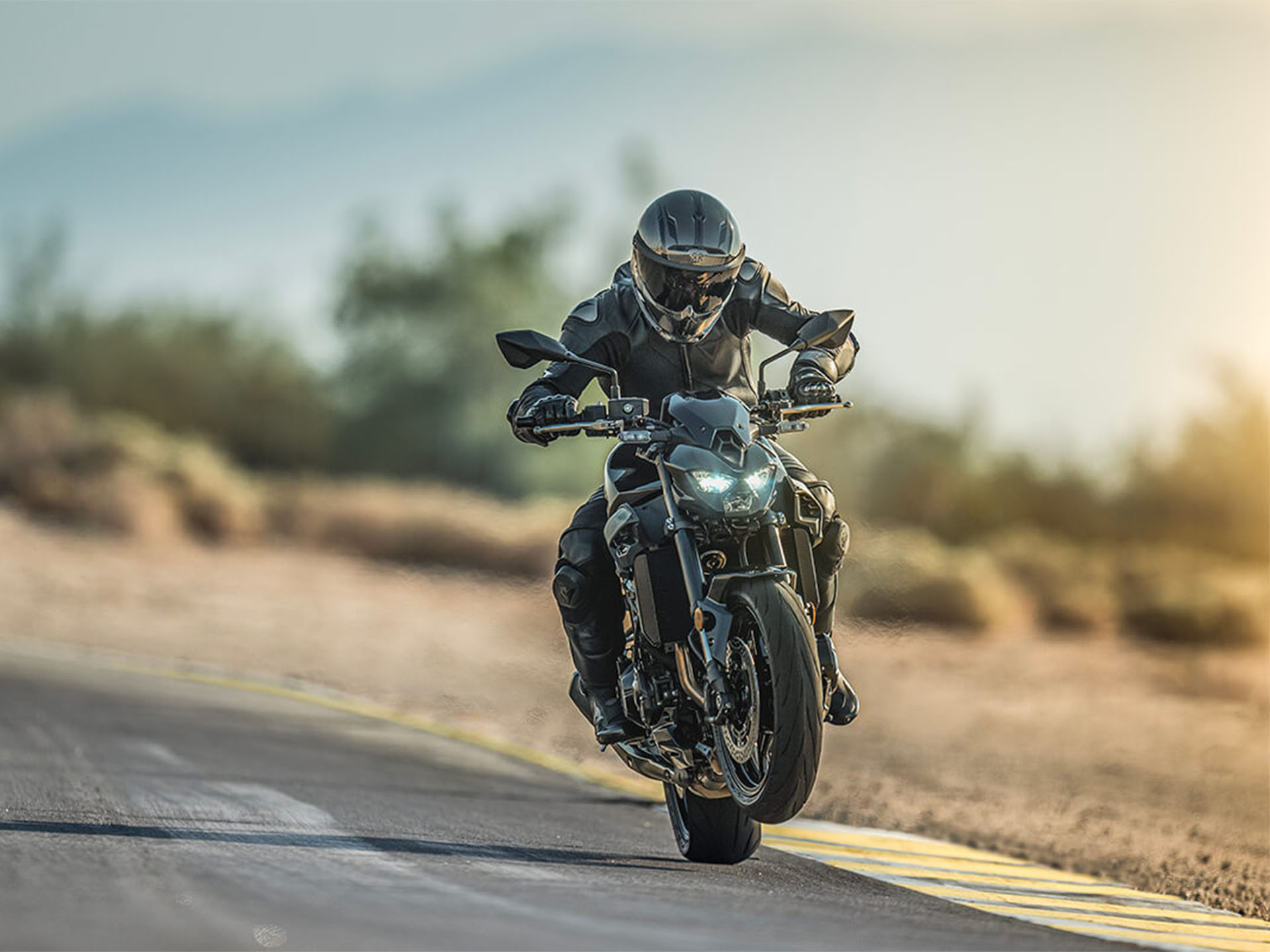 2025 Kawasaki Z900 ABS in Columbia, South Carolina - Photo 8
