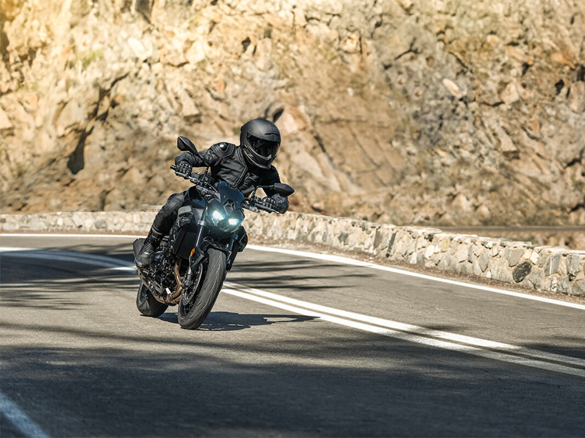 2025 Kawasaki Z900 ABS in Columbia, South Carolina - Photo 14