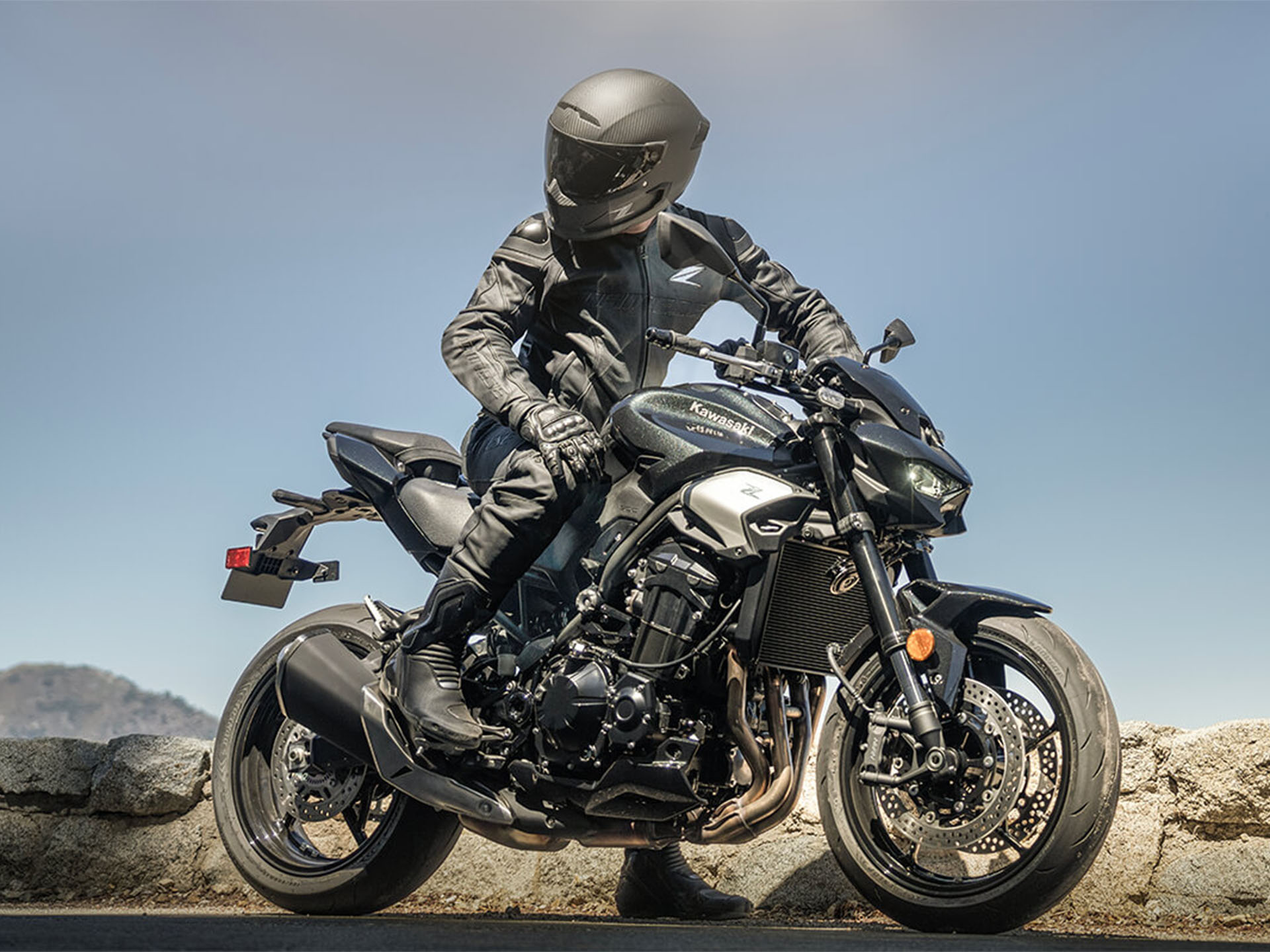 2025 Kawasaki Z900 ABS in Columbia, South Carolina - Photo 15