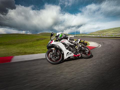 2025 Kawasaki Ninja ZX-6R in Columbia, South Carolina - Photo 5
