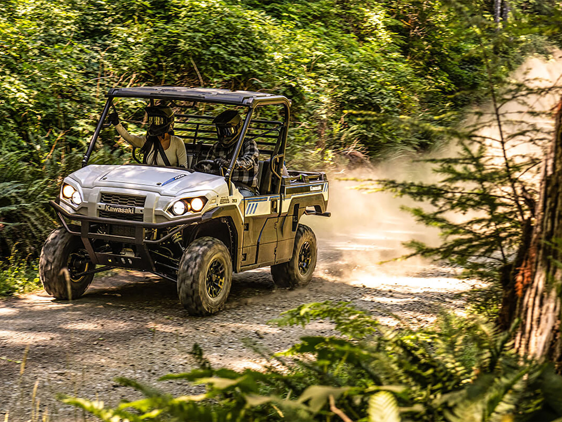2025 Kawasaki MULE PRO-FXR 1000 LE in Eugene, Oregon - Photo 4
