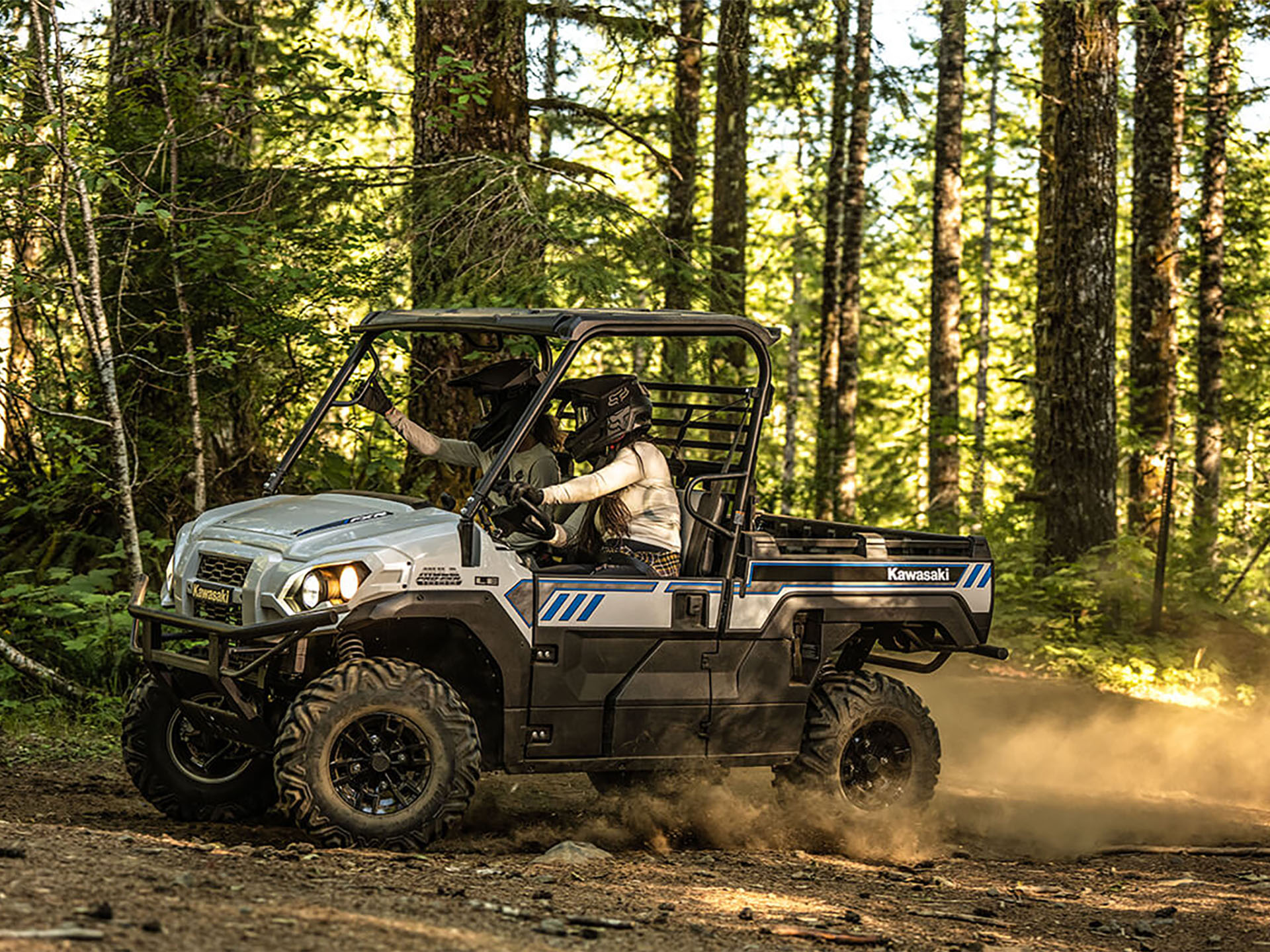 2025 Kawasaki MULE PRO-FXR 1000 LE in Eugene, Oregon - Photo 5