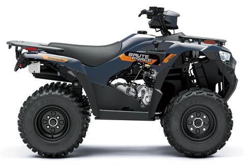 2026 Kawasaki Brute Force 300