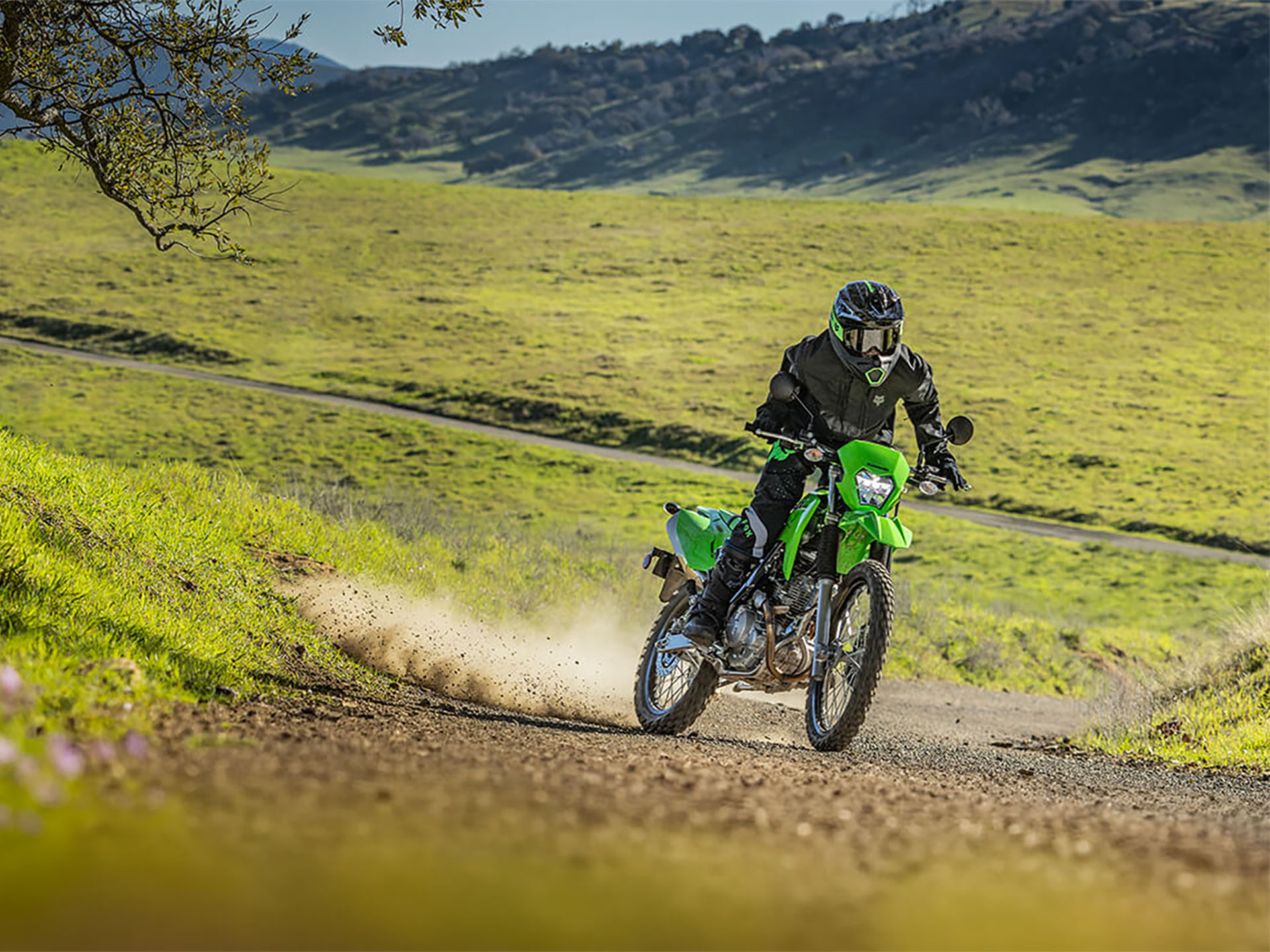 2025 Kawasaki KLX 230 S ABS in Lacey, Washington - Photo 7