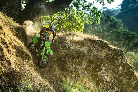2026 Kawasaki KLX®300R in Tuscaloosa, Alabama - Photo 4