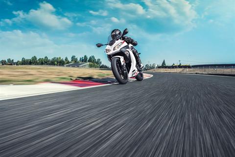 2026 Kawasaki Ninja® 300 ABS in Hollister, California - Photo 7