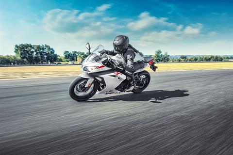 2026 Kawasaki Ninja® 300 ABS in Hollister, California - Photo 10