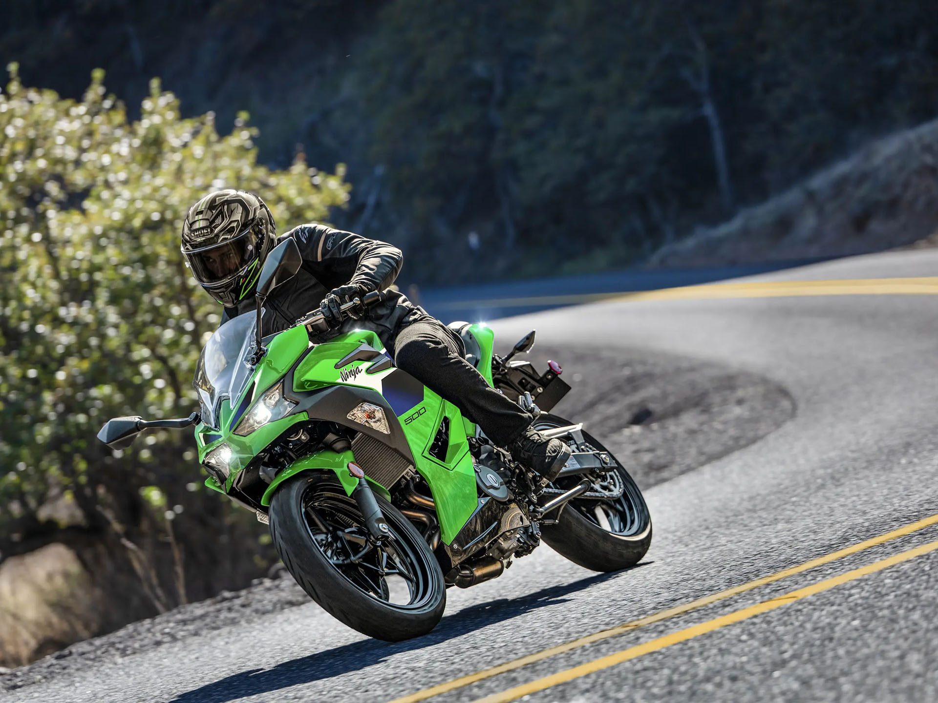 2026 Kawasaki Ninja 500 in Lacey, Washington - Photo 5