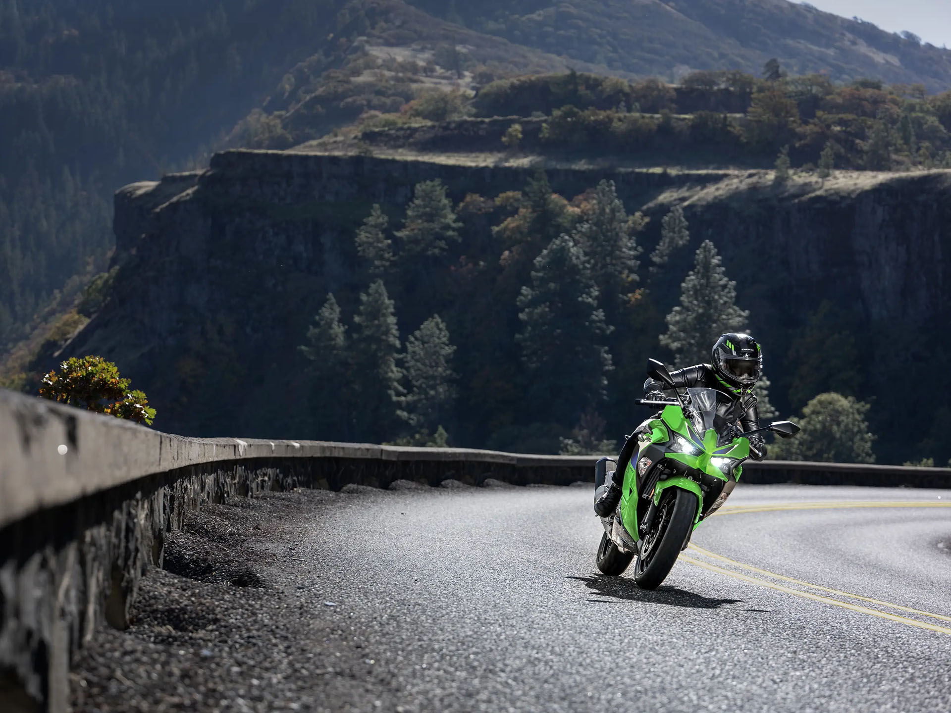 2026 Kawasaki Ninja 500 in Lacey, Washington - Photo 6