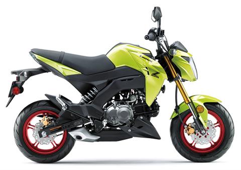 2026 Kawasaki Z125 Pro in Topsham, Maine