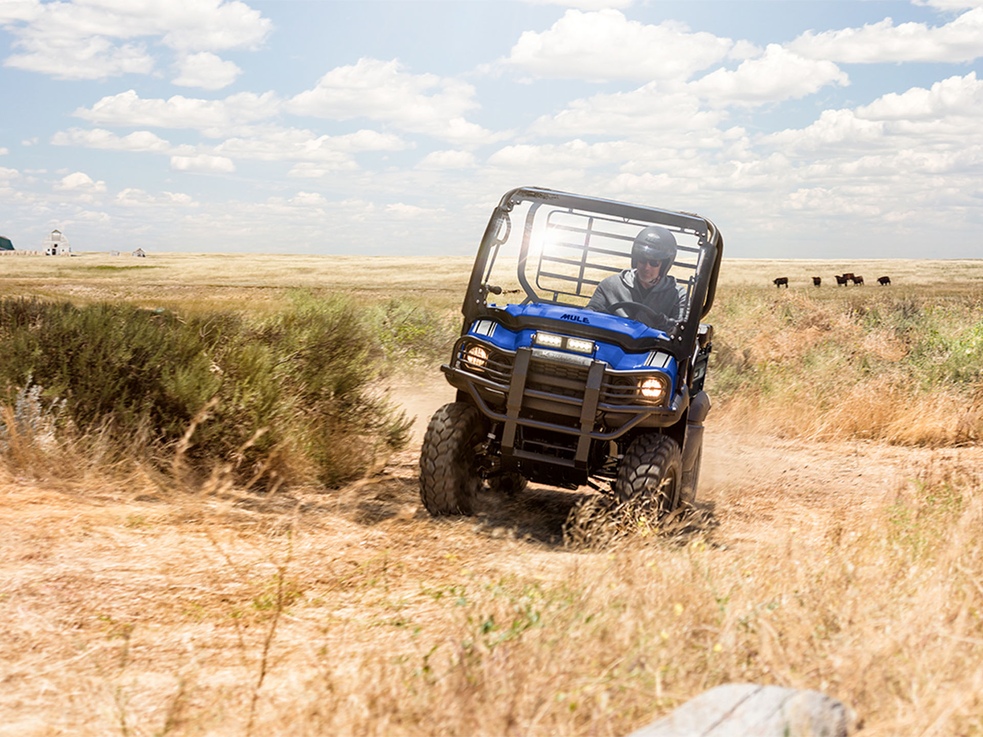 2026 Kawasaki MULE SX 4x4 XC in Fairview, Utah - Photo 4