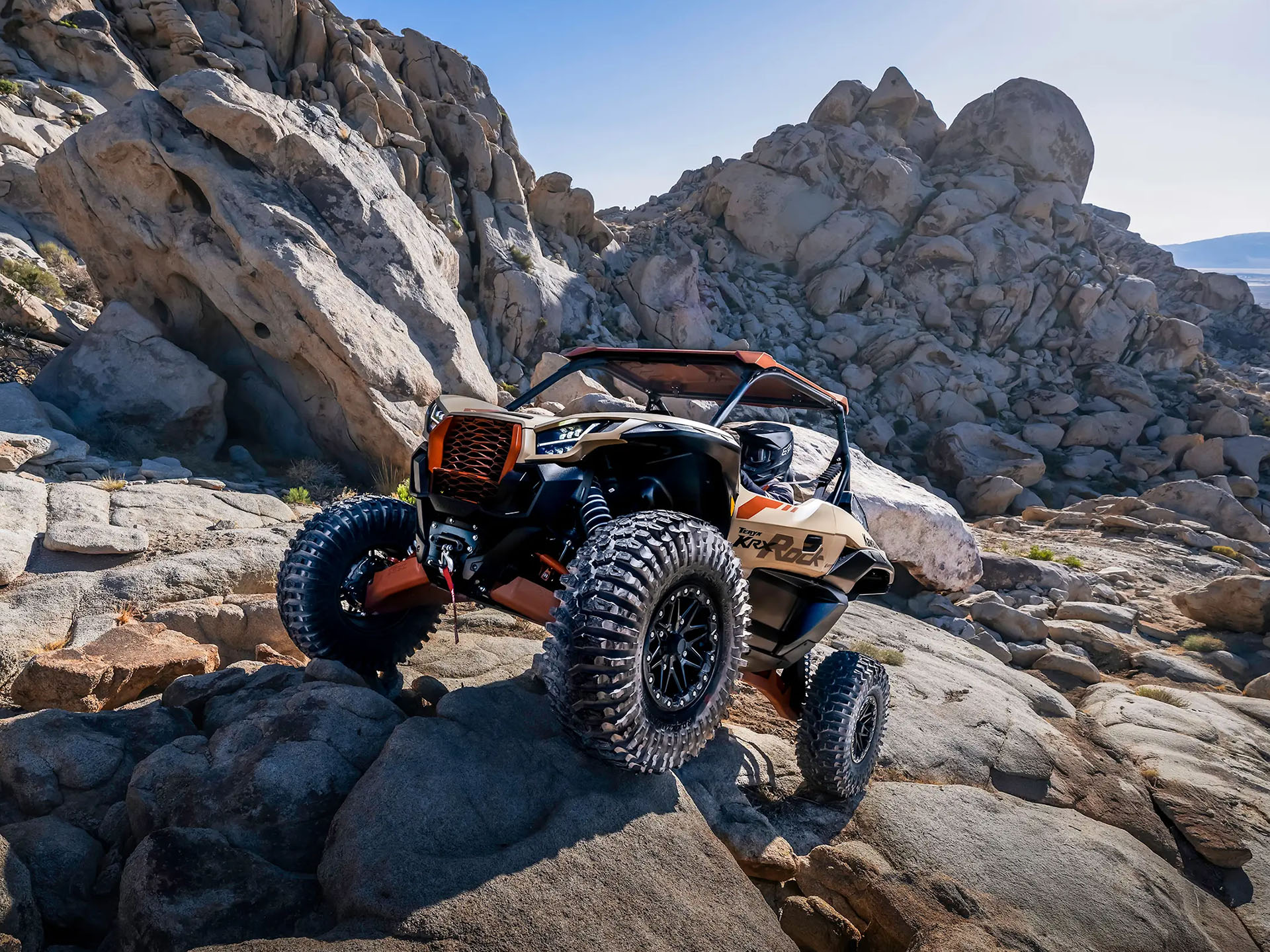 2026 Kawasaki Teryx KRX 1000 Rock Edition in Huron, Ohio - Photo 19