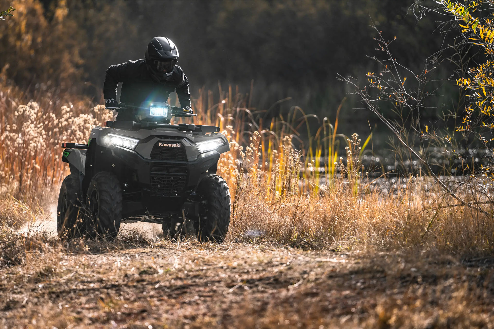 2027 Kawasaki Brute Force® 750 EPS in Fairview, Utah - Photo 17
