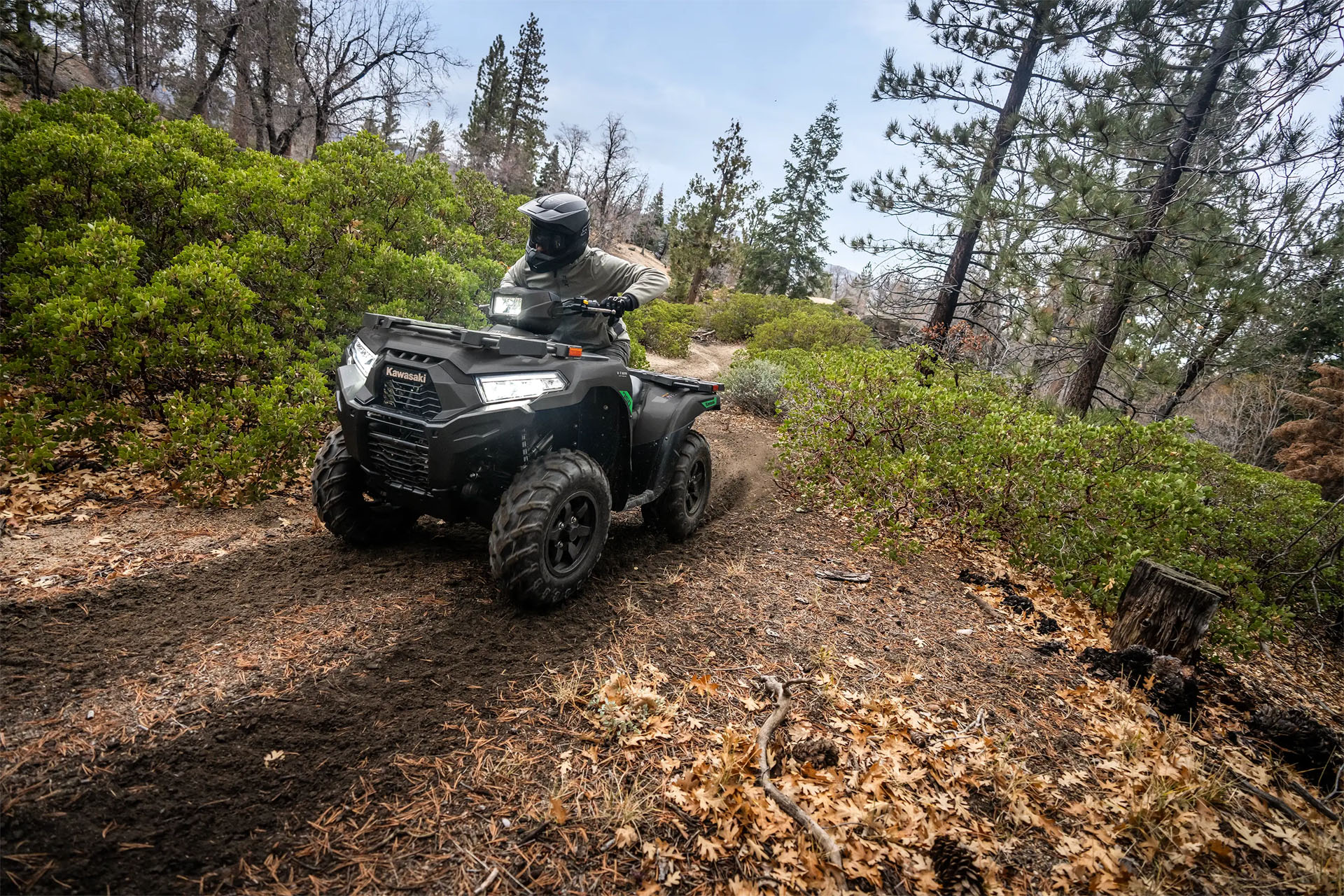 2027 Kawasaki Brute Force® 750 EPS in Fairview, Utah - Photo 18