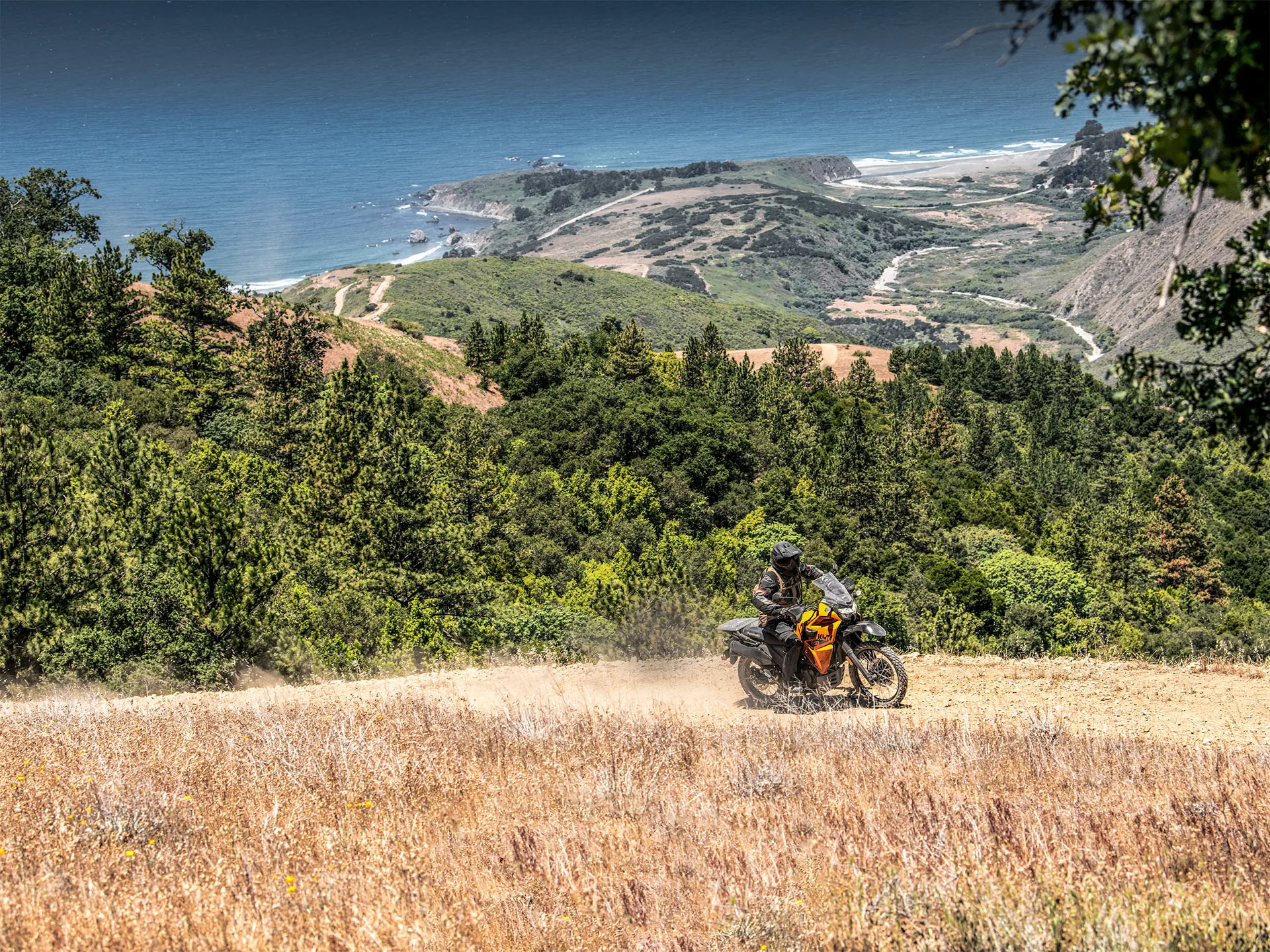 2026 Kawasaki KLR®650 ABS 5