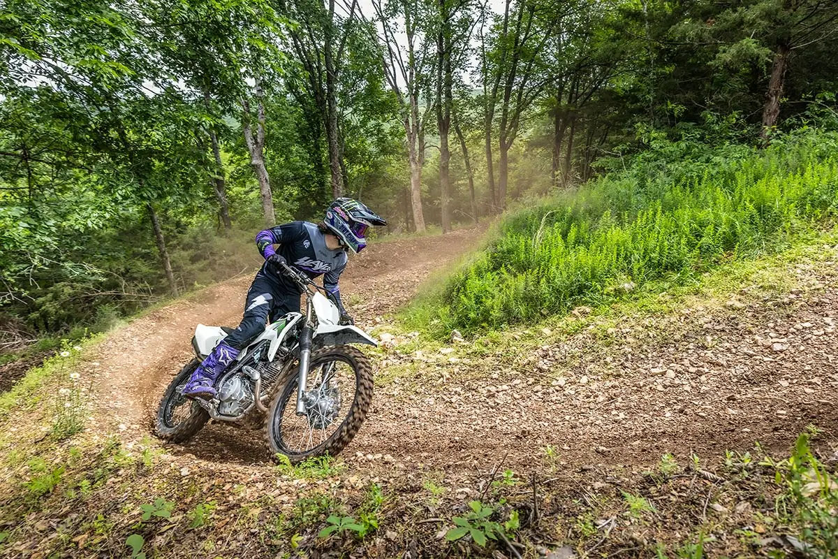 2027 Kawasaki KLX®230R S 9