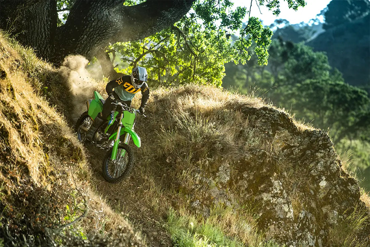 2027 Kawasaki KLX®300R 4