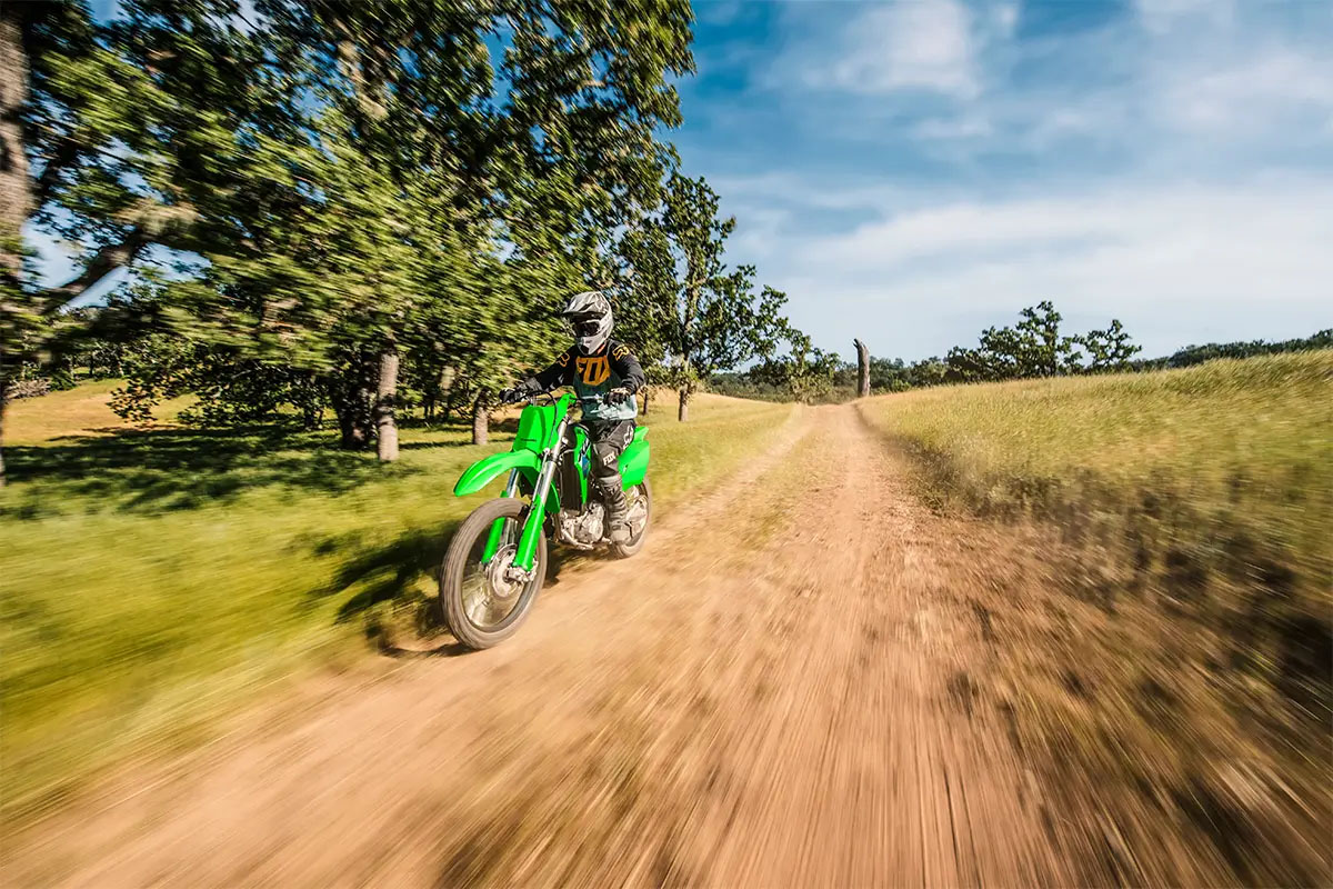 2027 Kawasaki KLX®300R 8