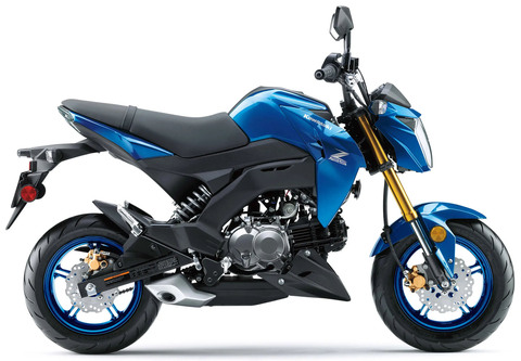 New 2025 Kawasaki Z125 Pro | Motorcycles in Bartonsville PA
