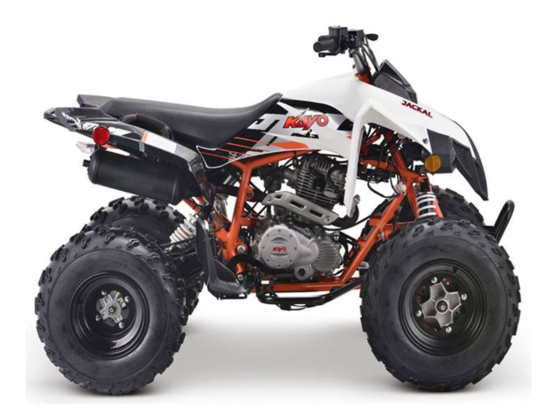 【2025年】高評価レビューアイテム特集 in ATVs 200 Jackal Kayo 2021 New Broken Outside OK Arrow, フェイスクリーム