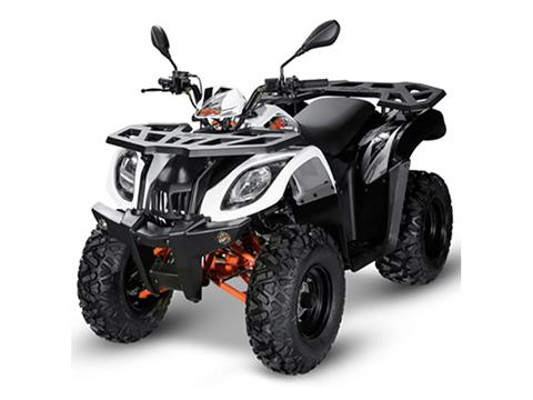 2021 Kayo Bull 200 in Lacey, Washington - Photo 4