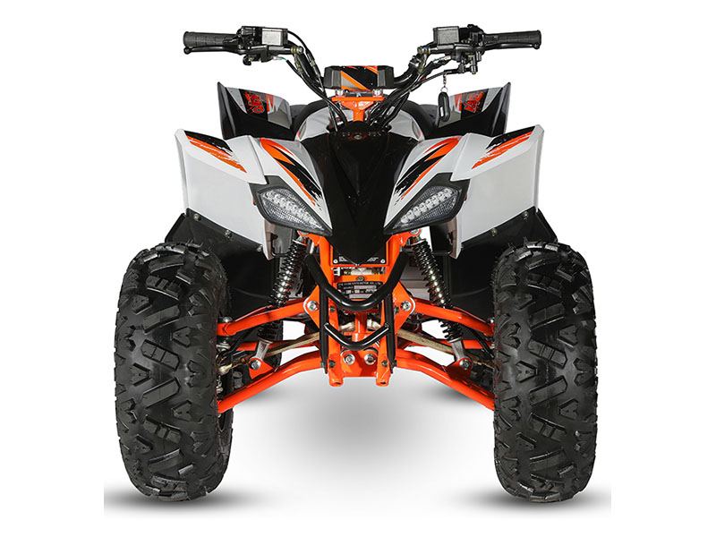 2022 Kayo Predator 125 in Lacey, Washington - Photo 3