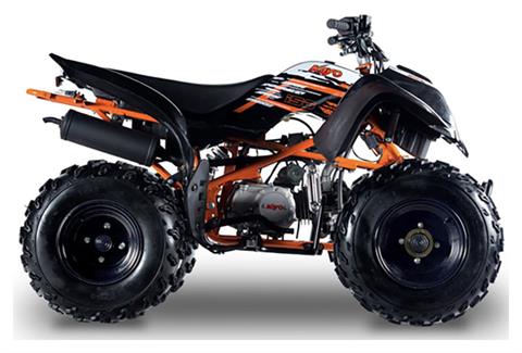 New 2022 Kayo Storm 150 - Specs, Price, Photos | Chanute KS Dealer