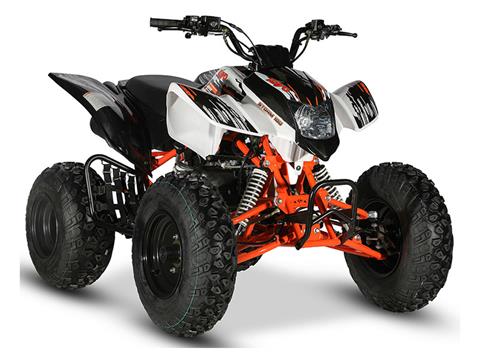 New 2022 Kayo Storm 180 | ATVs in Wilkes Barre PA | KAY00509 White