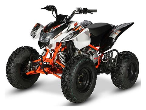kayo•*¨*•.¸♬︎ New 2022 Kayo Storm 180 | ATVs in Wilkes Barre PA | KAY00509 White