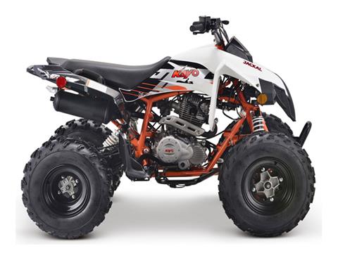 2022 Kayo Jackal 200 For Sale at Brazos Motorsports