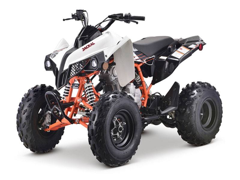 2022 Kayo Jackal 200 For Sale at Brazos Motorsports, Angleton, TX