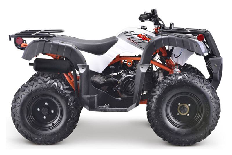 2022 Kayo Bull photo 4