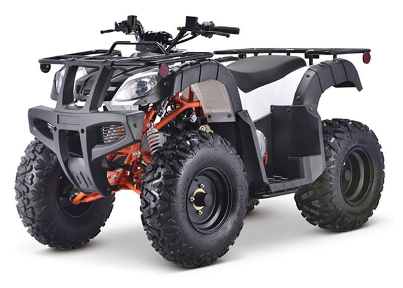 2022 Kayo Bull photo 5