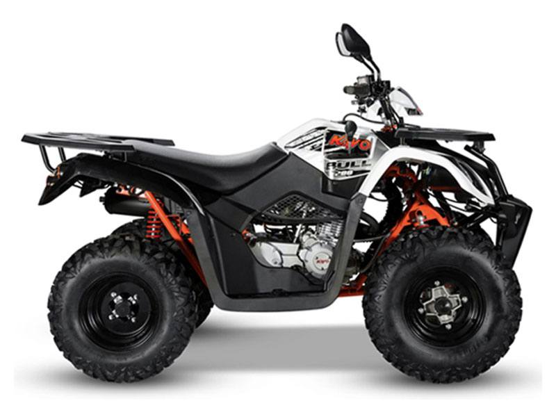 2022 Kayo Bull photo 2