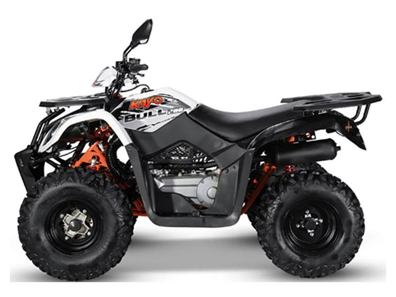 2022 Kayo Bull photo 3