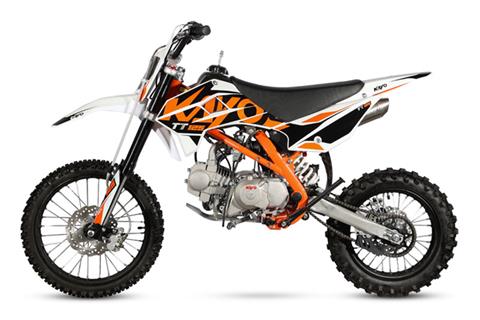 Pit bike 125 mrf top