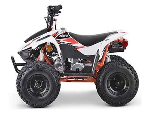 New 2023 Kayo Fox 70 - Specs, Price, Photos | Chanute KS