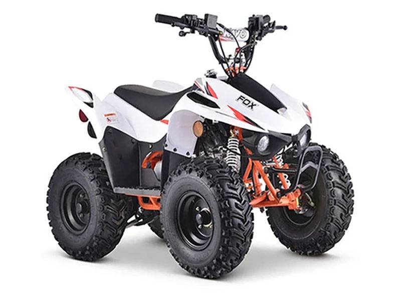 kayo❗️ Kayo USA - ATV | DIRTBIKE | PITBIKE | UTV