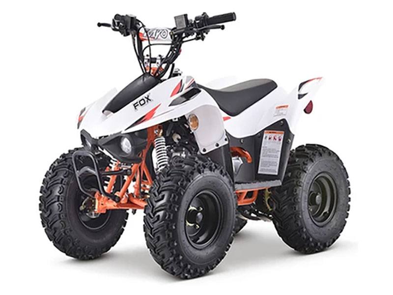 New 2023 Kayo Fox 70 - Specs, Price, Photos | Chanute KS