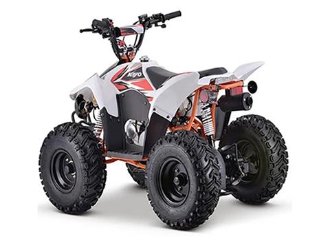 New 2023 Kayo Fox 70 - Specs, Price, Photos | Chanute KS