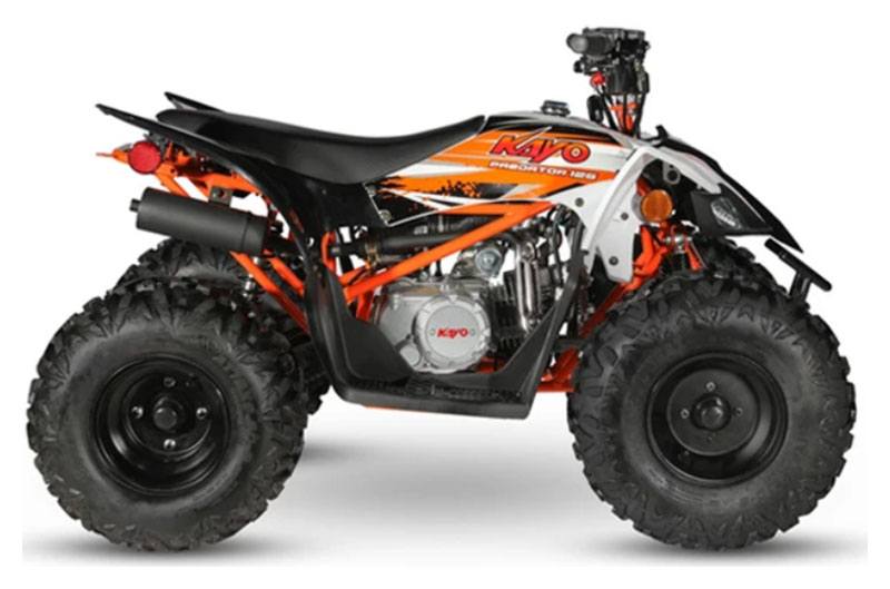 2023 Kayo Predator 125 for Sale in Clinton, TN