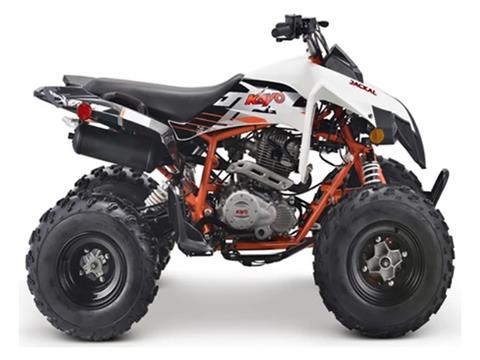 2023 Kayo Jackal 200 in Auburn, Massachusetts - Photo 5