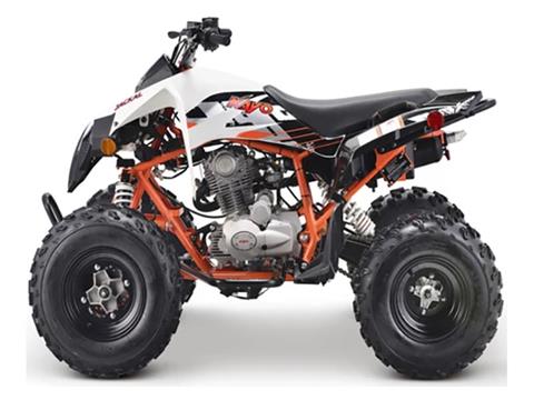 2023 Kayo Jackal 200 in Auburn, Massachusetts - Photo 6