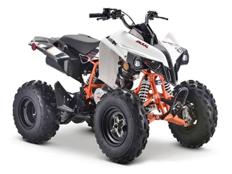 2023 Kayo Jackal 200 in Auburn, Massachusetts - Photo 7